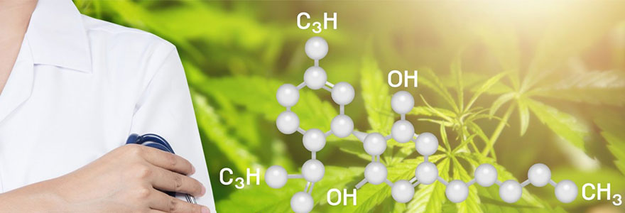 Le cannabidiol se tourne vers le medical