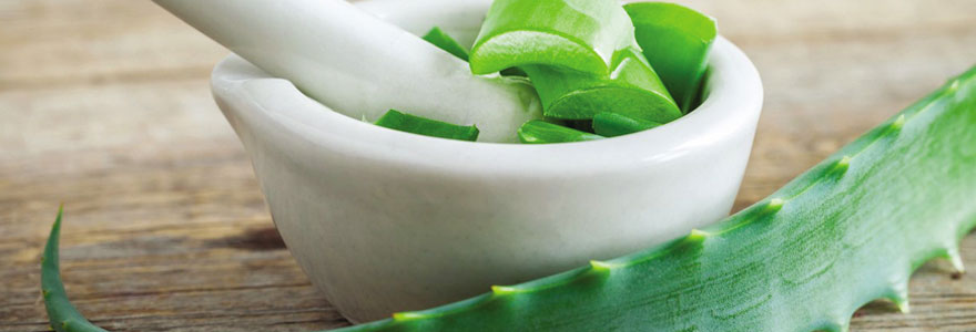 Produits Aloe vera